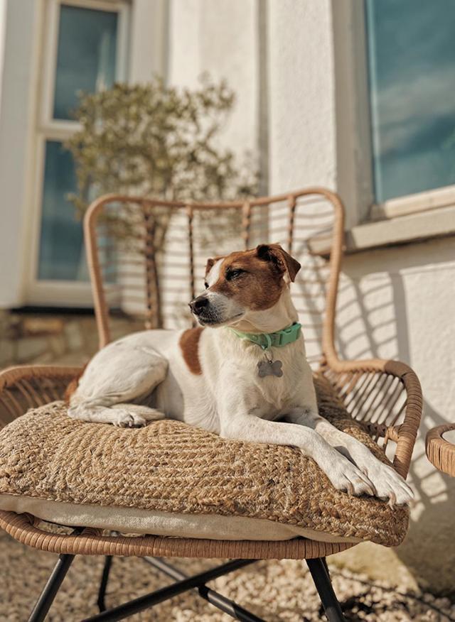 Mor Heli Guest House Criccieth Bagian luar foto